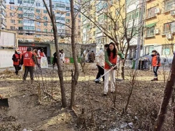 说明: 图片