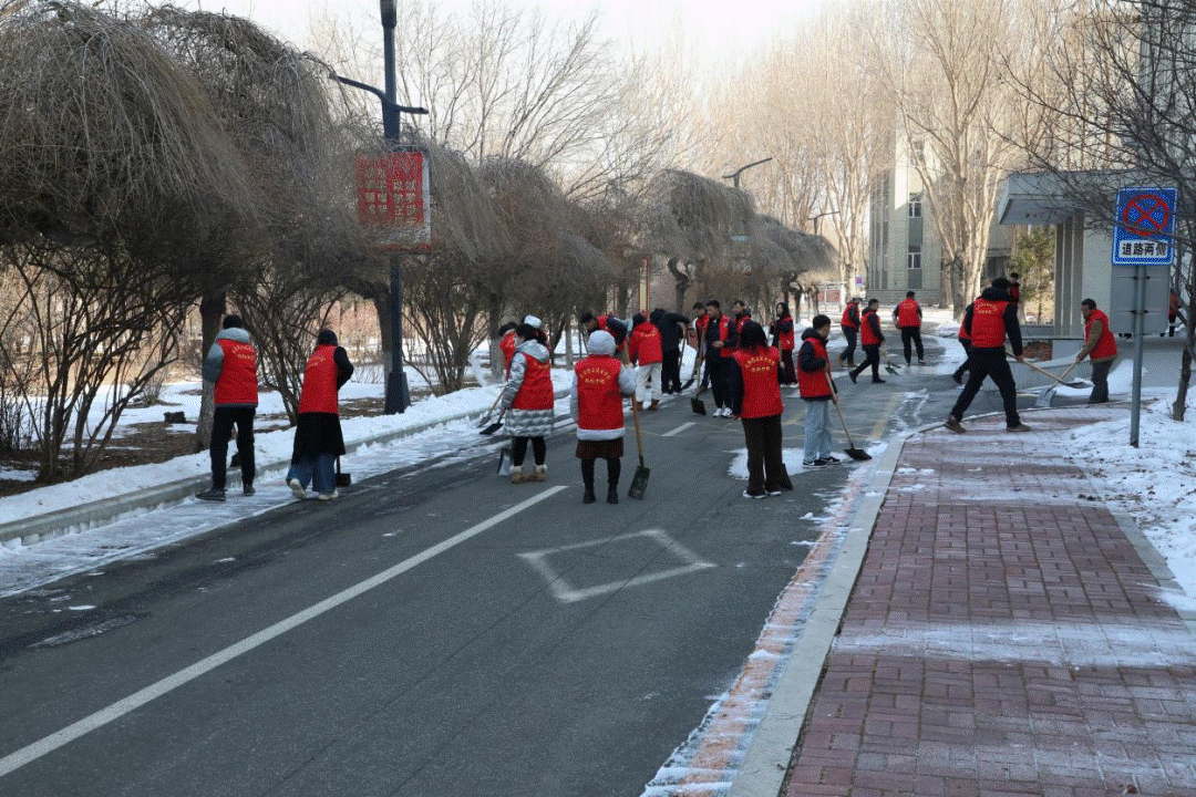 说明: IMG_256 说明: IMG_256