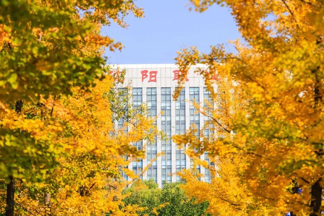 2BCF5
